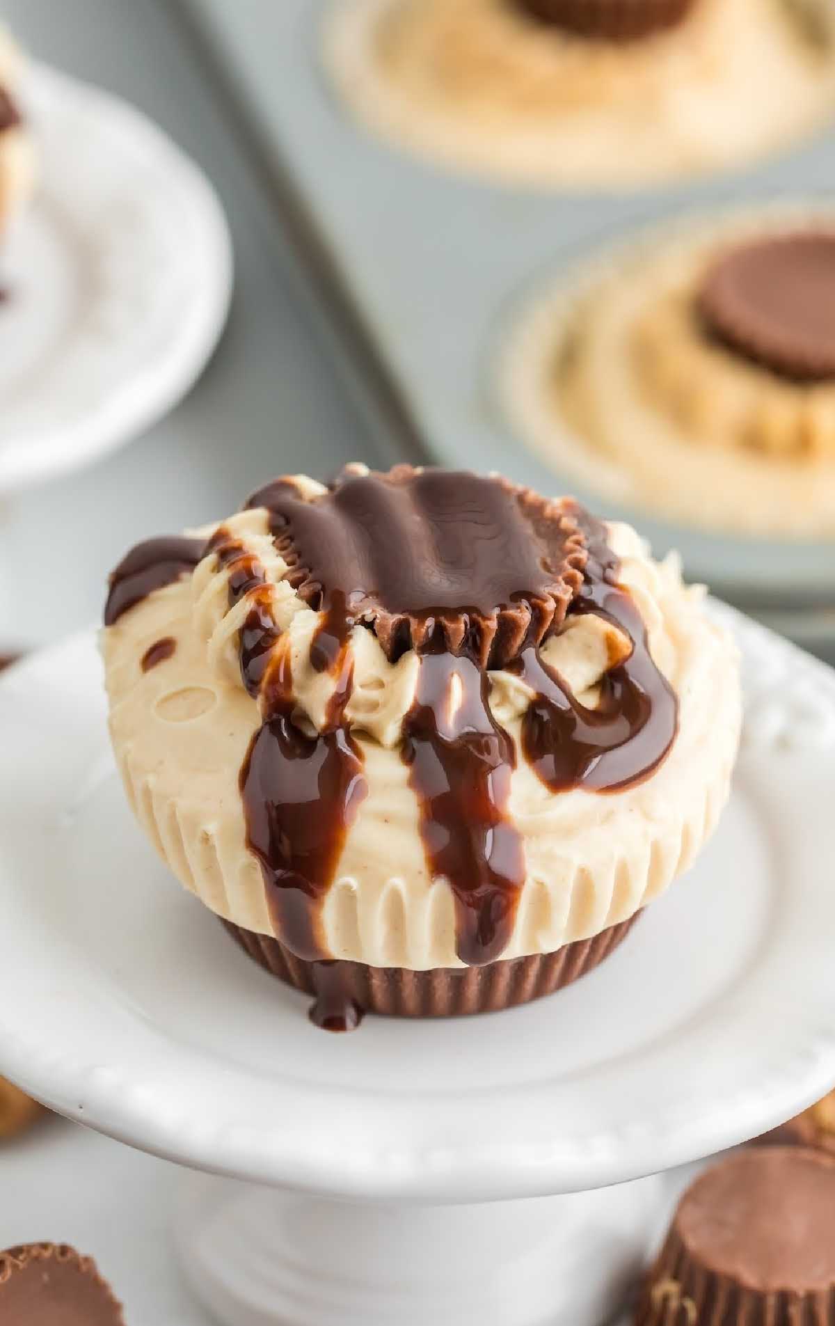 a close up shot of a Mini Peanut Butter Cheesecake drizzled with chocolate sauce on a plate
