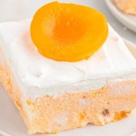 a close up shot of a slice of Apricot Delight on a plate