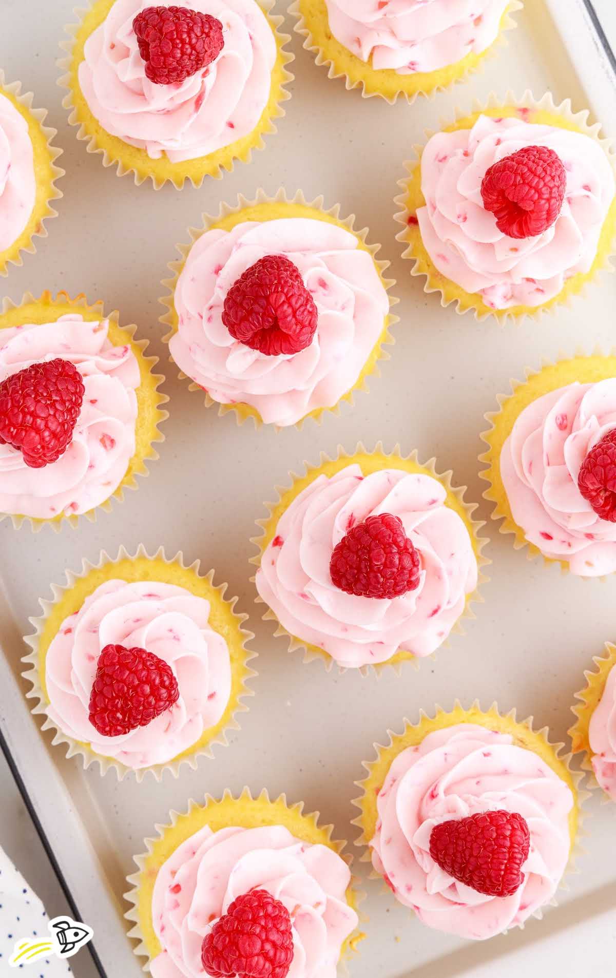 overhead shot of Raspberry Cupcakes on a tray
