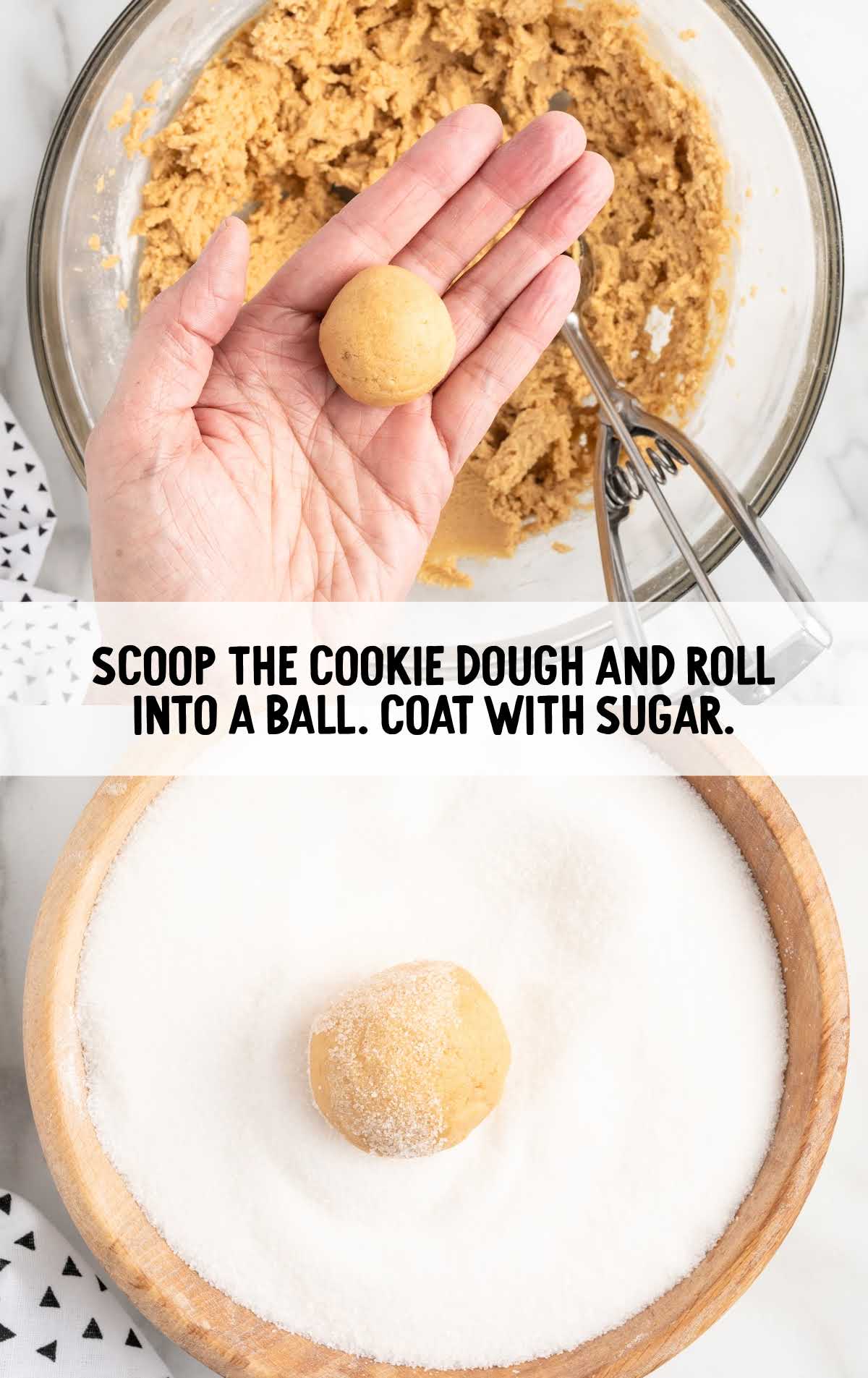 cookie dough rolled into a ball and coated with sugar