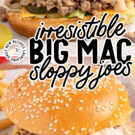 close up shot of a Big Mac sloppy Joes