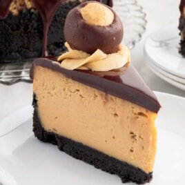 a close up shot of a slice of Buckeye Cheesecake on a plate