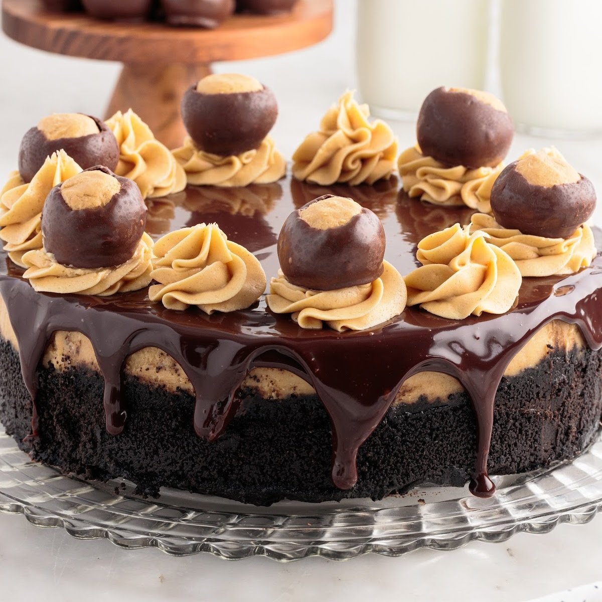 a close up shot of Buckeye Cheesecake in a glass plate