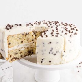 a close up shot of Chocolate Chip Cake with a slice taken out on a cake stand