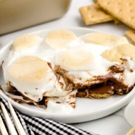 a piece of S'mores on a plate