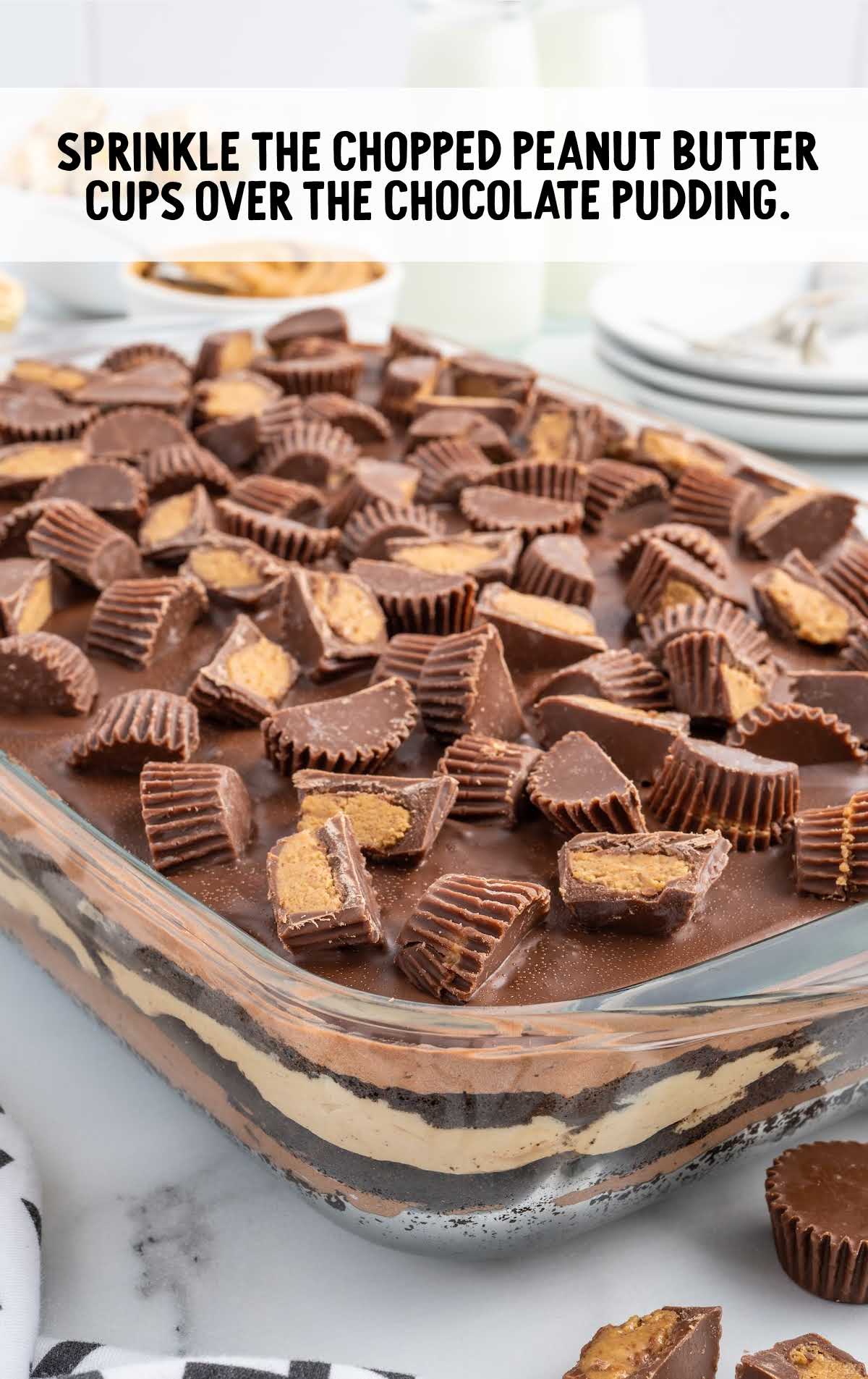 chopped peanut butter cups sprinkled over the chocolate pudding
