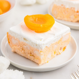 A slice of apricot delight on a white dessert plate.