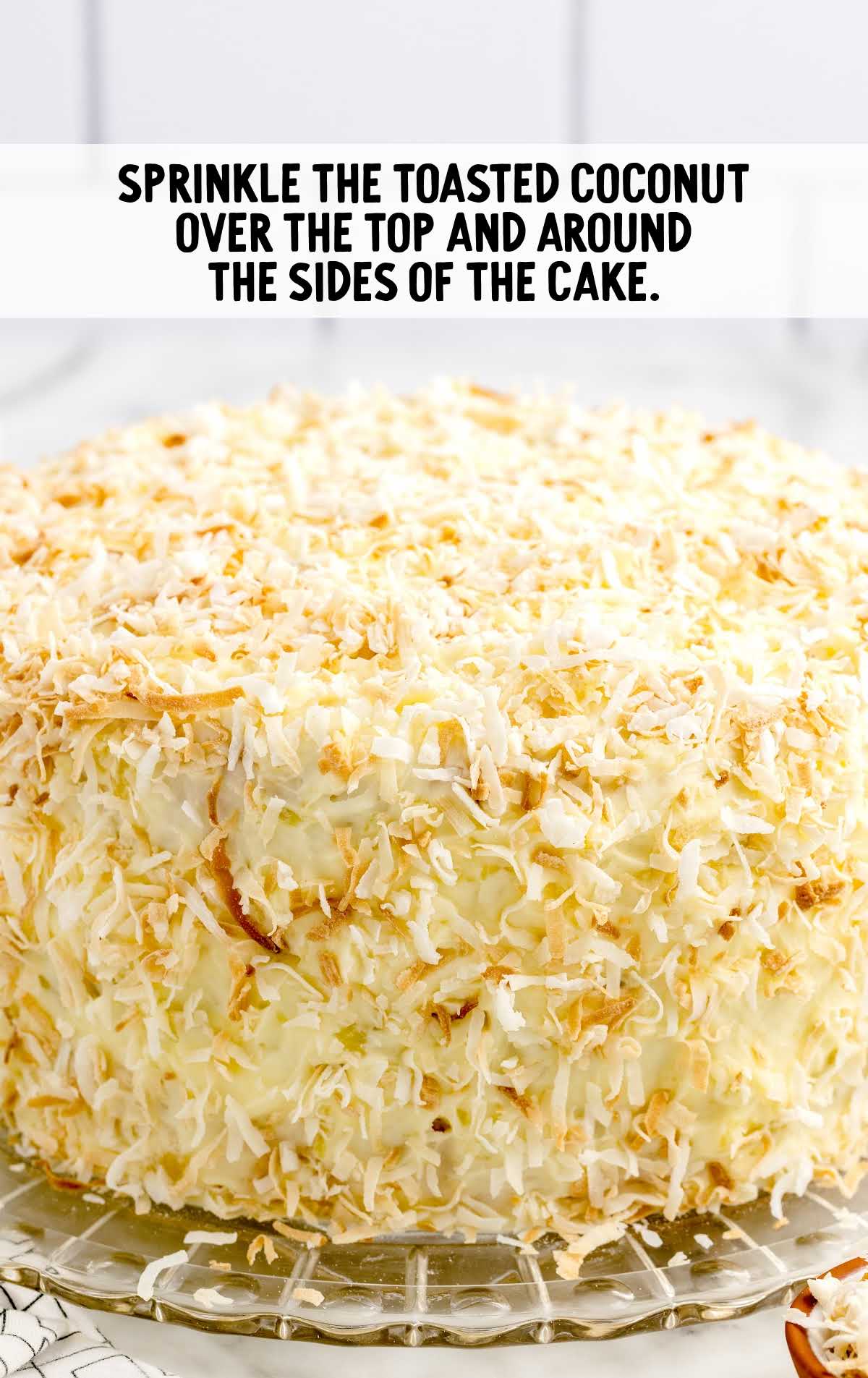 toasted coconut sprinkled over the top and around the cake