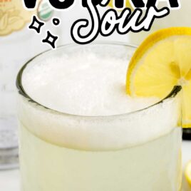 close up shot of a glass of vodka sour garnished with a lemon