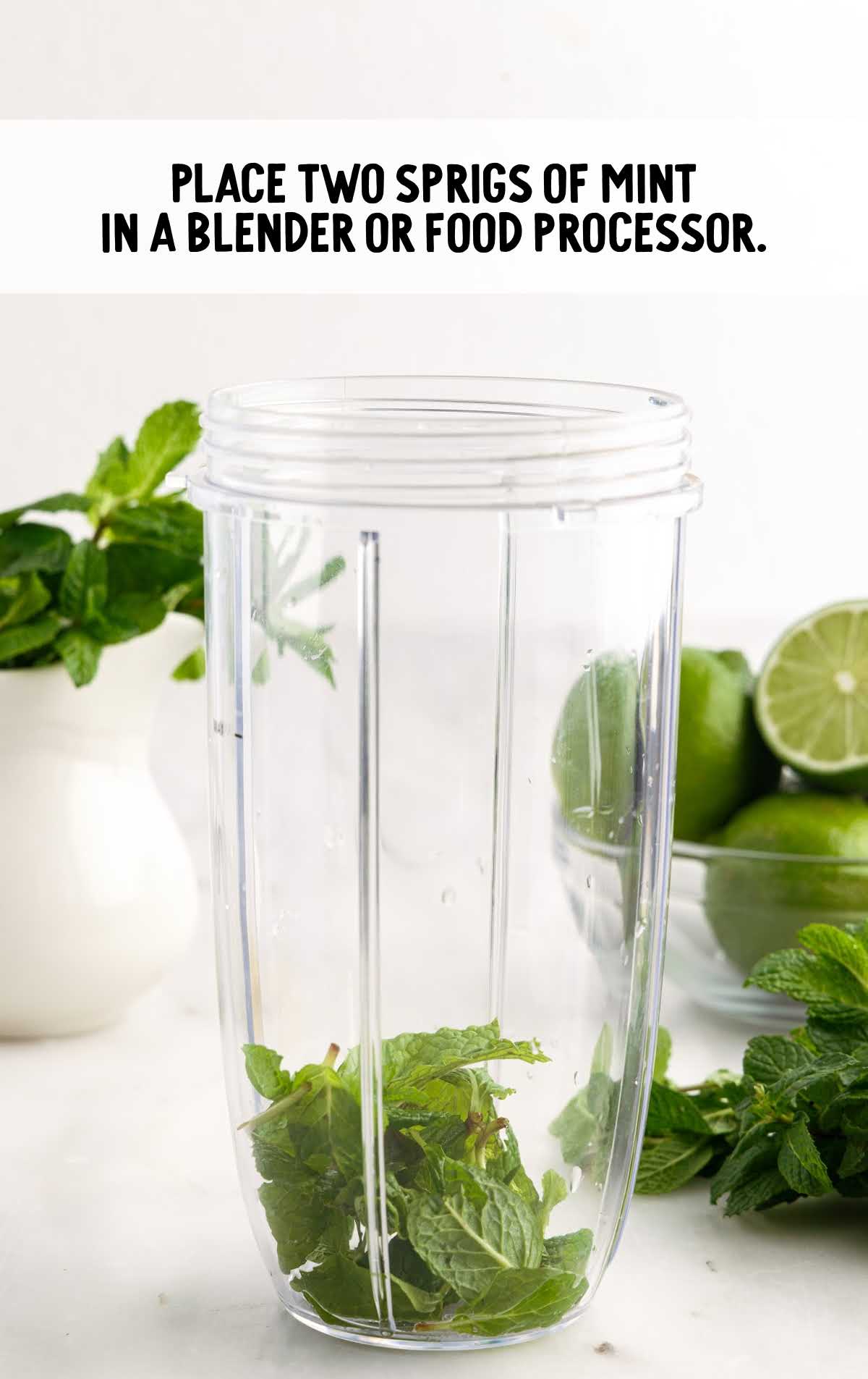 two sprigs of mint placed in a blender