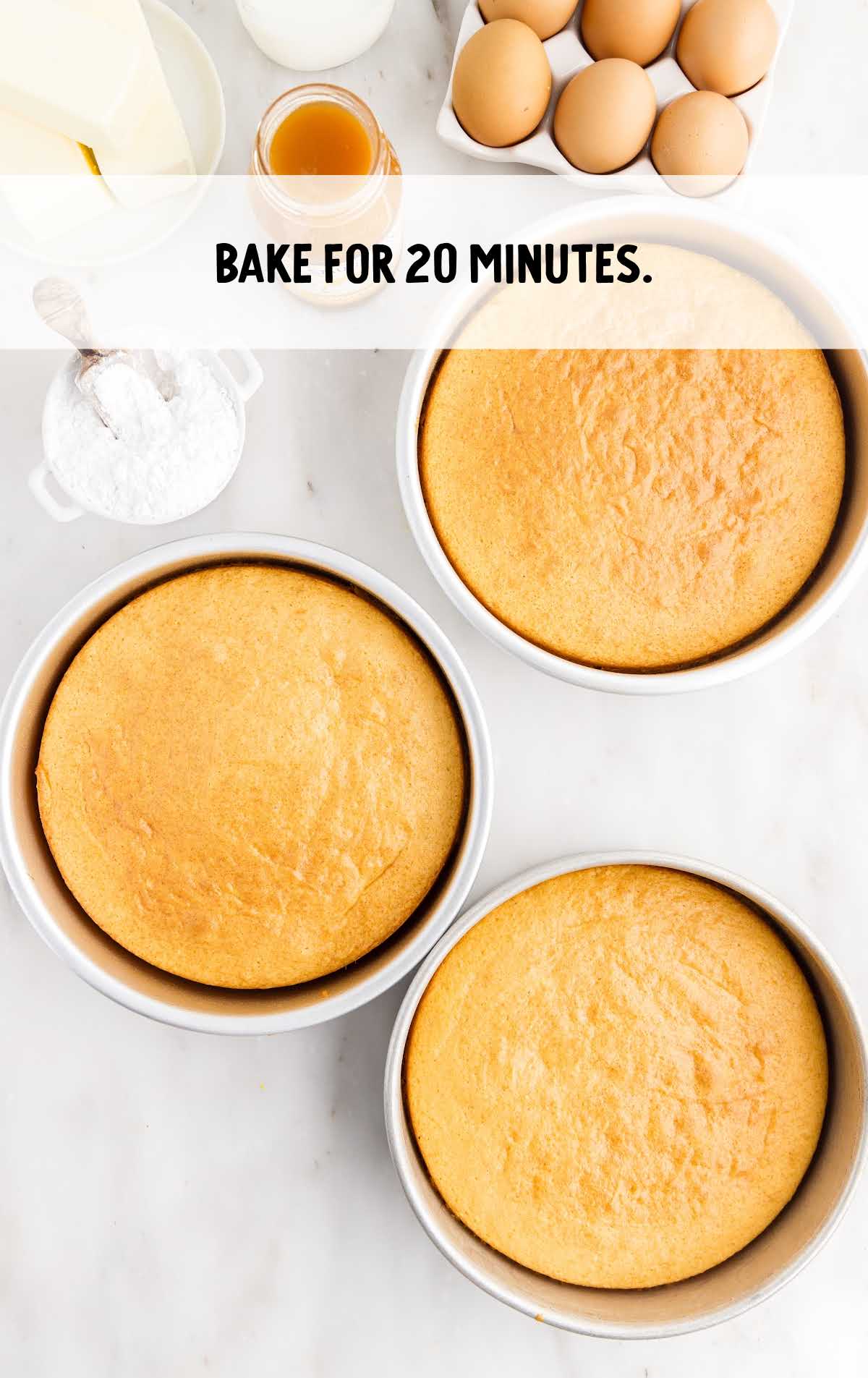 cakes baked in a cake pan