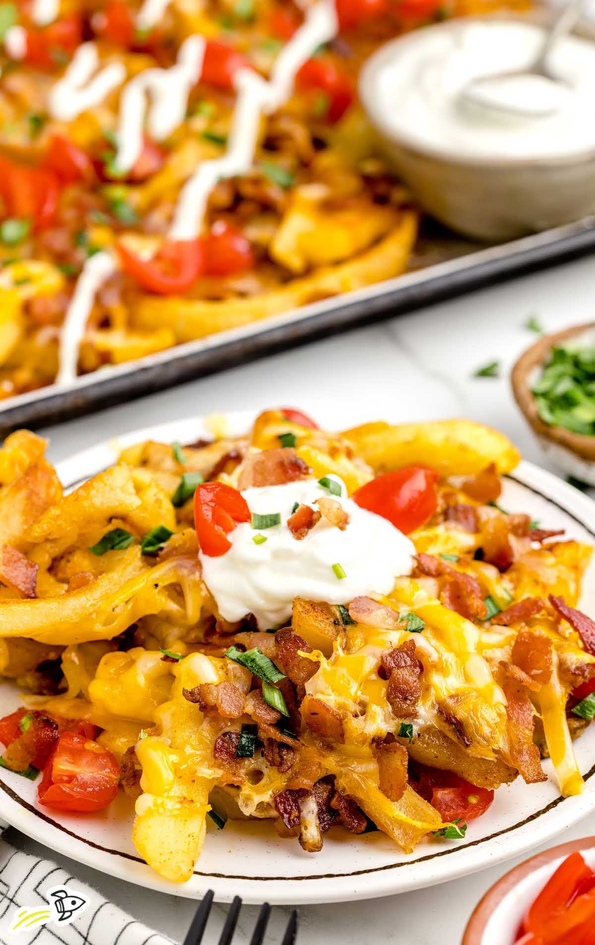 close up shot of Loaded Fries on a plate topped with sour cream