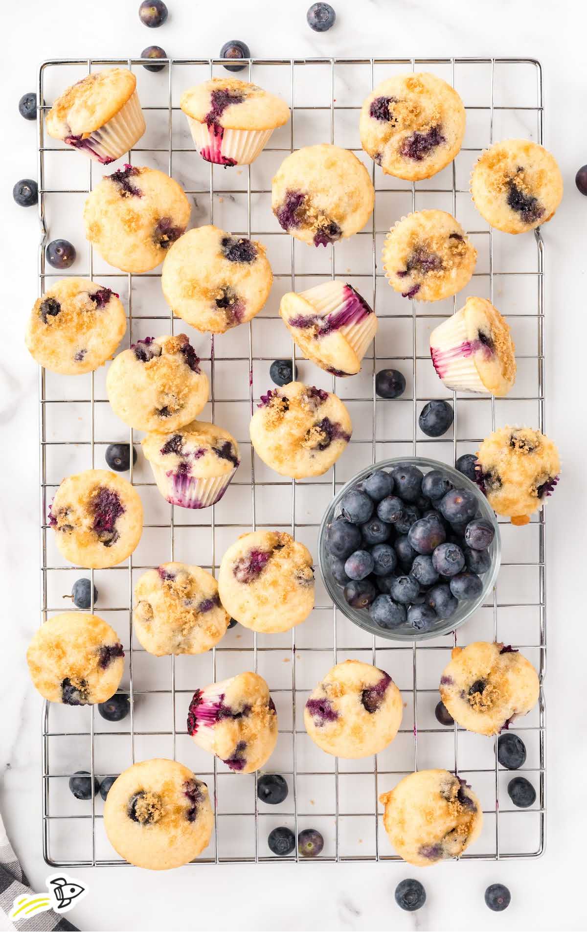 overhead shot of Mini Blueberry Muffins on a cooling rack with a bowl of blueberries