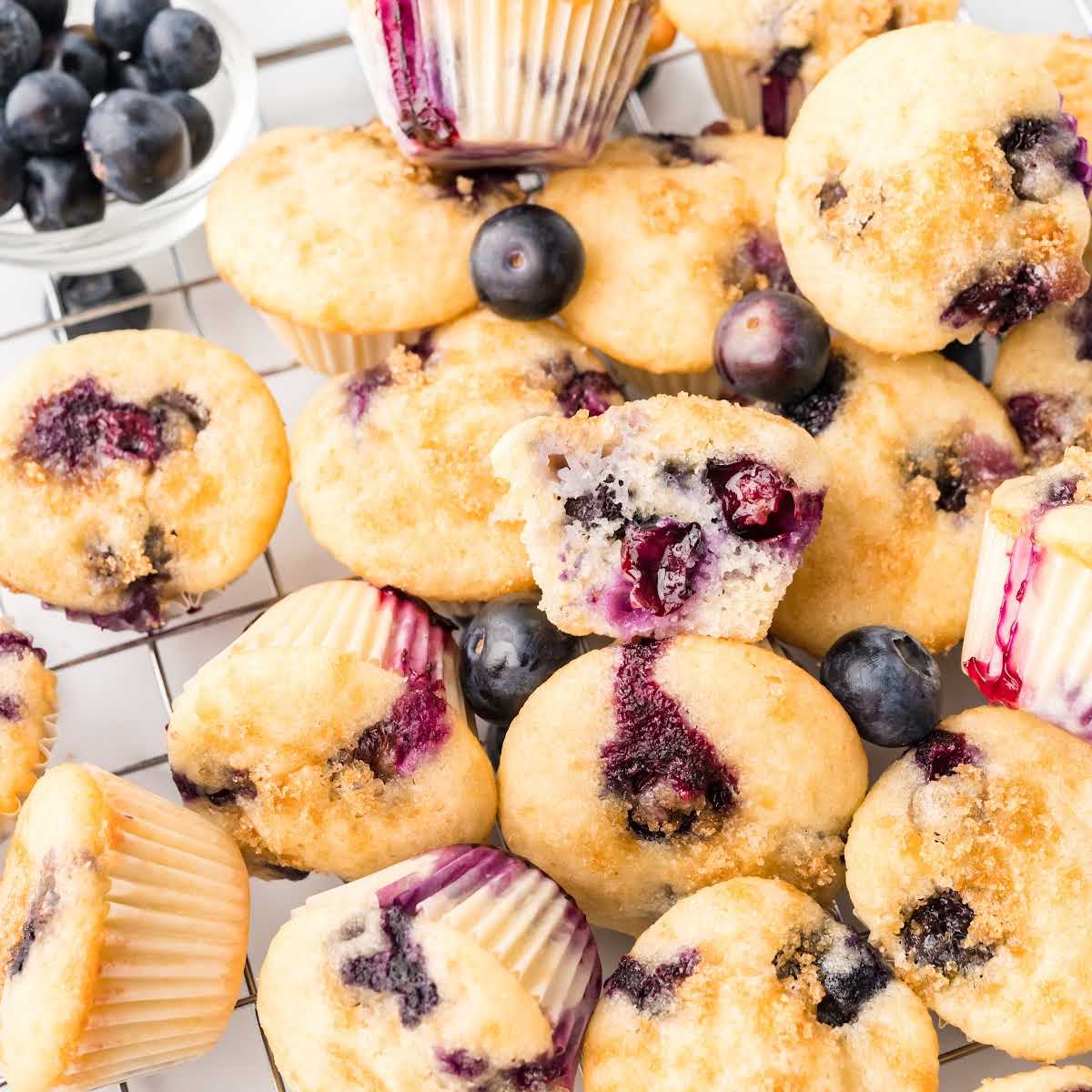 Mini Blueberry Muffins pic