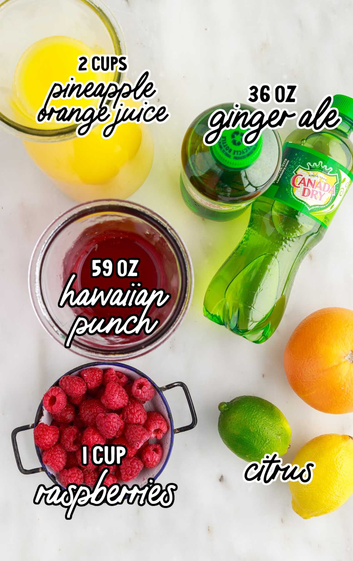 Party Punch raw ingredients that are labeled
