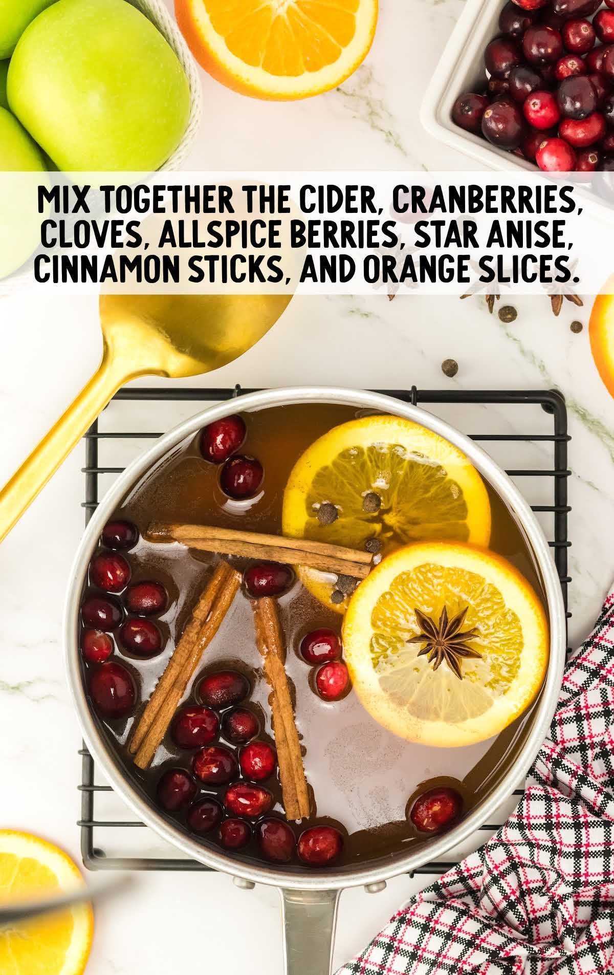 cider, cranberries, cloves, allspice berries, star anise, cinnamon stick, and orange slices mixed together