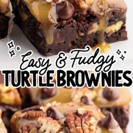 close up shot of a Turtle Brownie