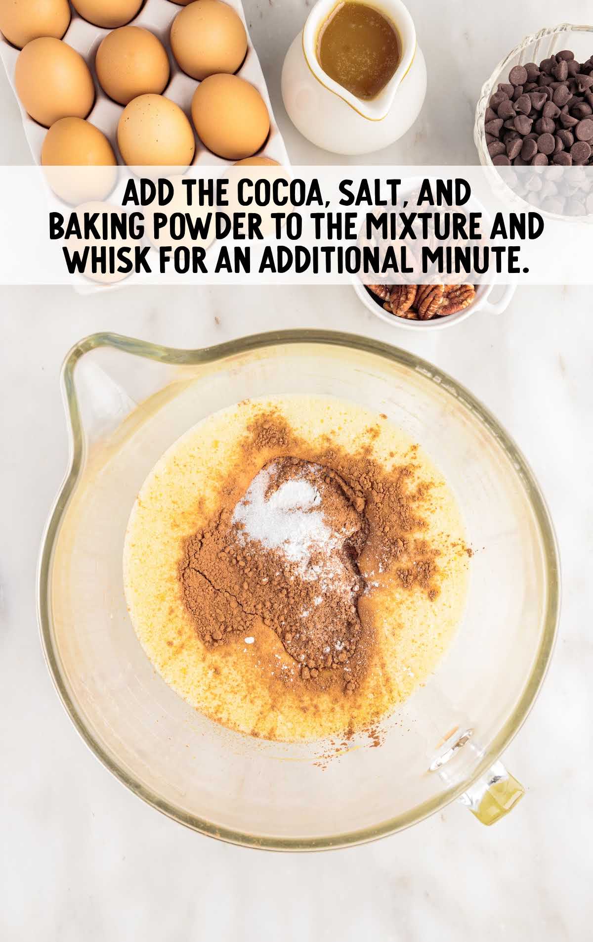 cocoa, salt, and baking powder added to the mixture