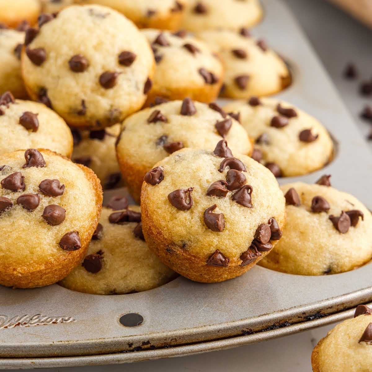 a close up shot of Mini Chocolate Chip Muffins on top of a muffin pan