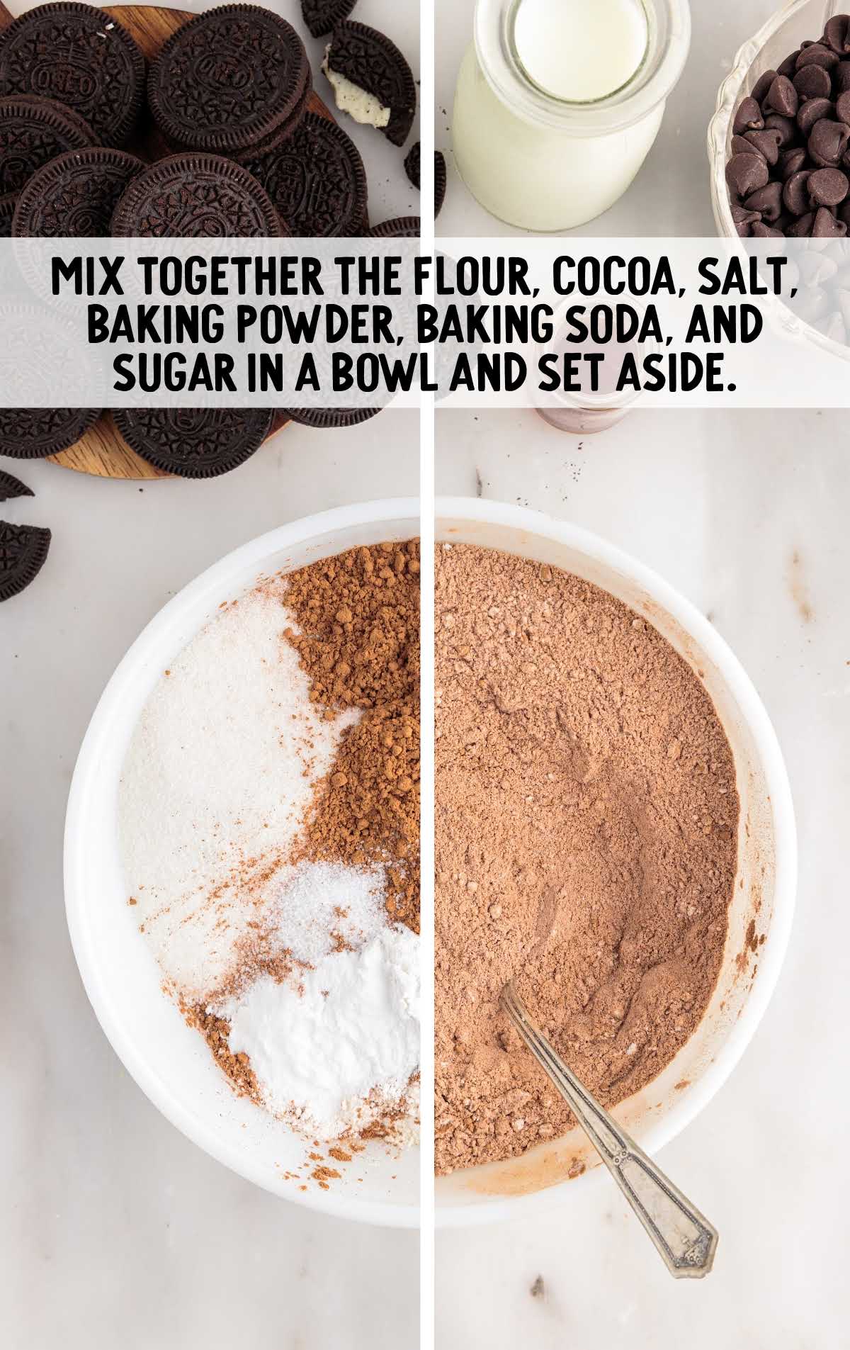 flour, cocoa, salt, baking powder, baking soda, and sugar mixed together