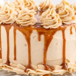 Bir pasta standında tuzlu bir karamel kekin çekimini kapatın