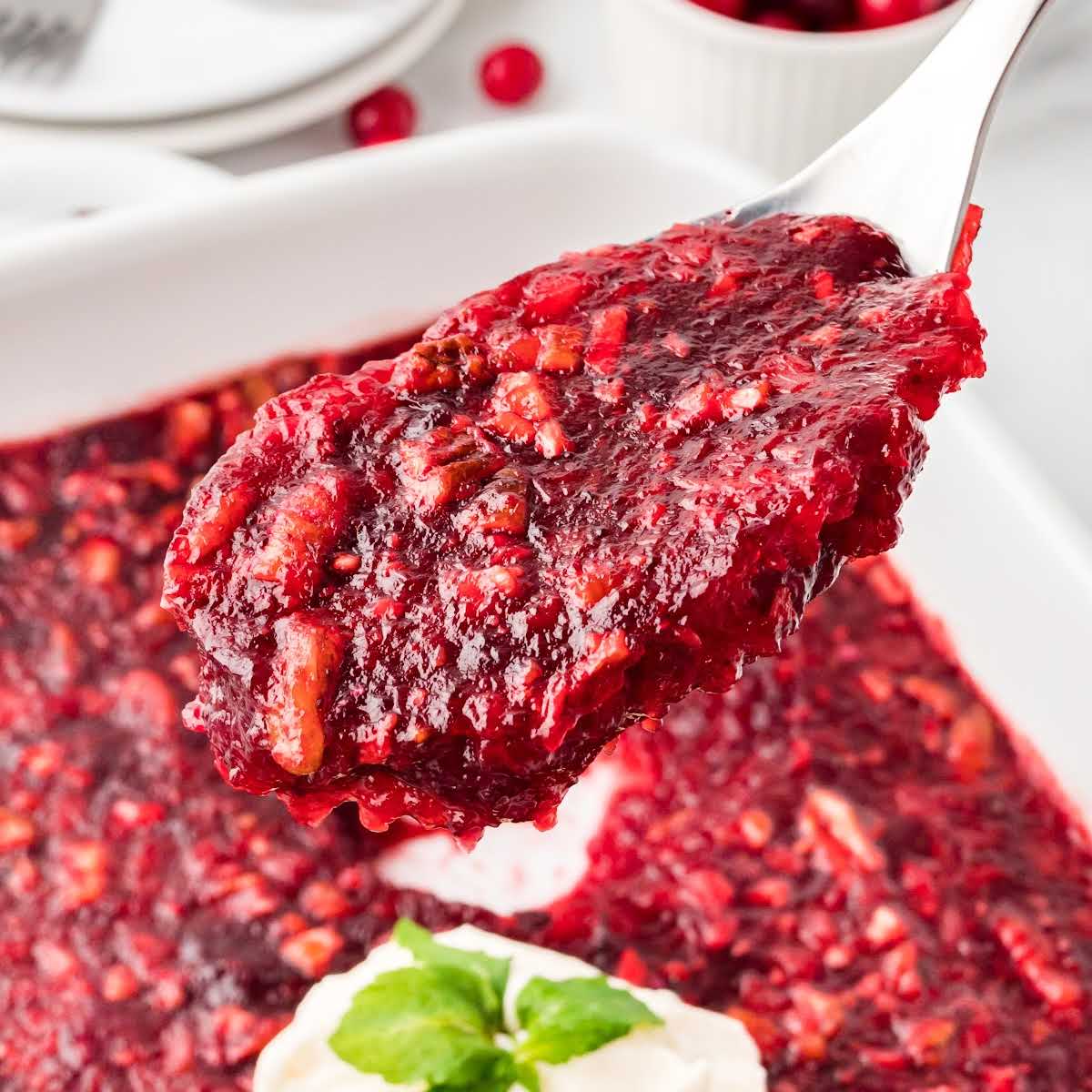 close up shot of a spoonful of Cranberry Jello Salad