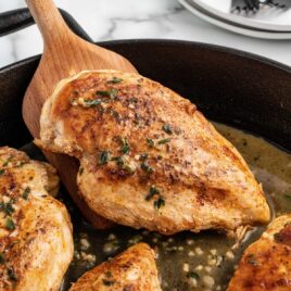 a close up shot of Pan-Seared Chicken being picked up by a wooden spoon