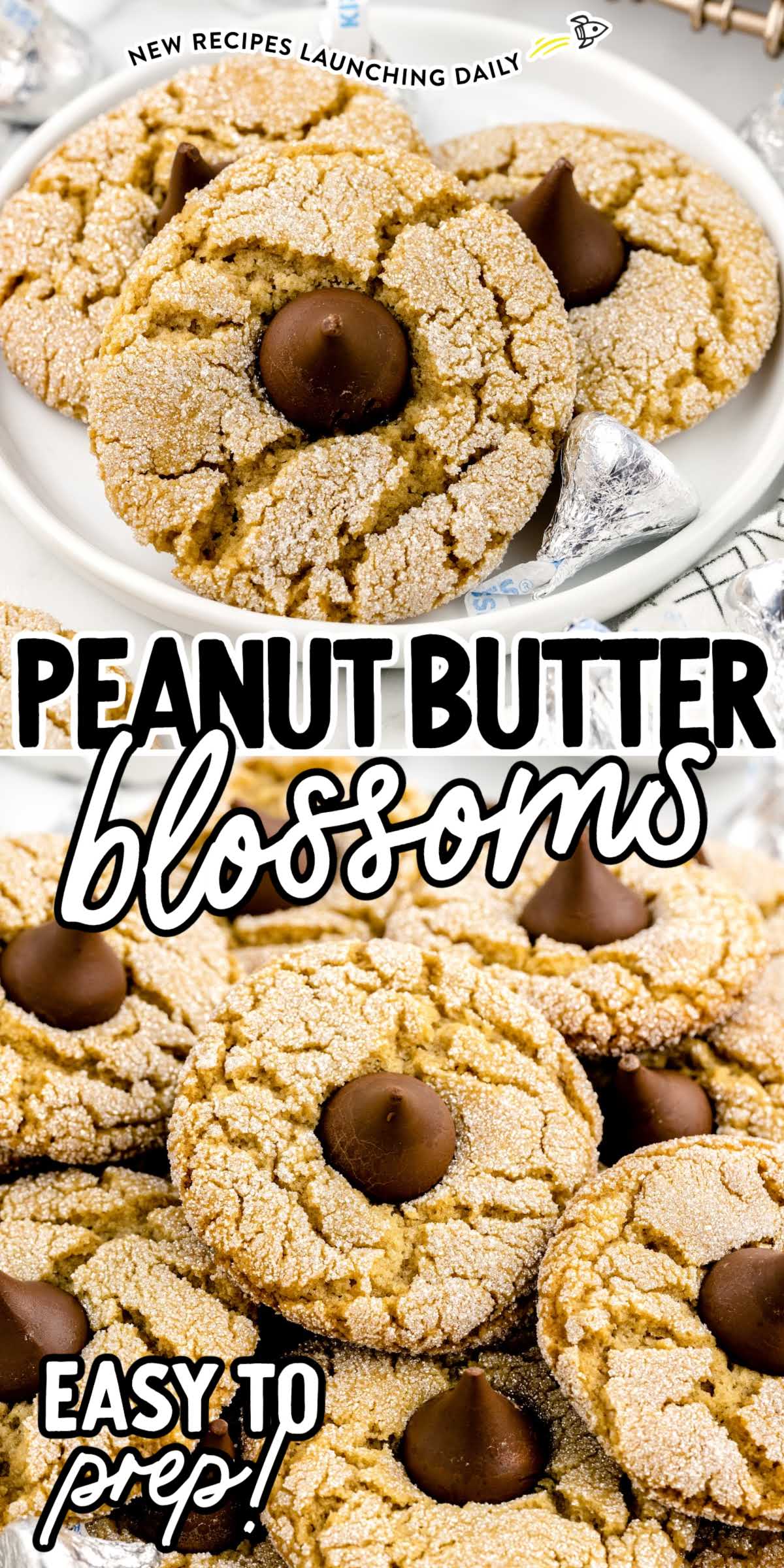 peanut-butter-blossoms-spaceships-and-laser-beams