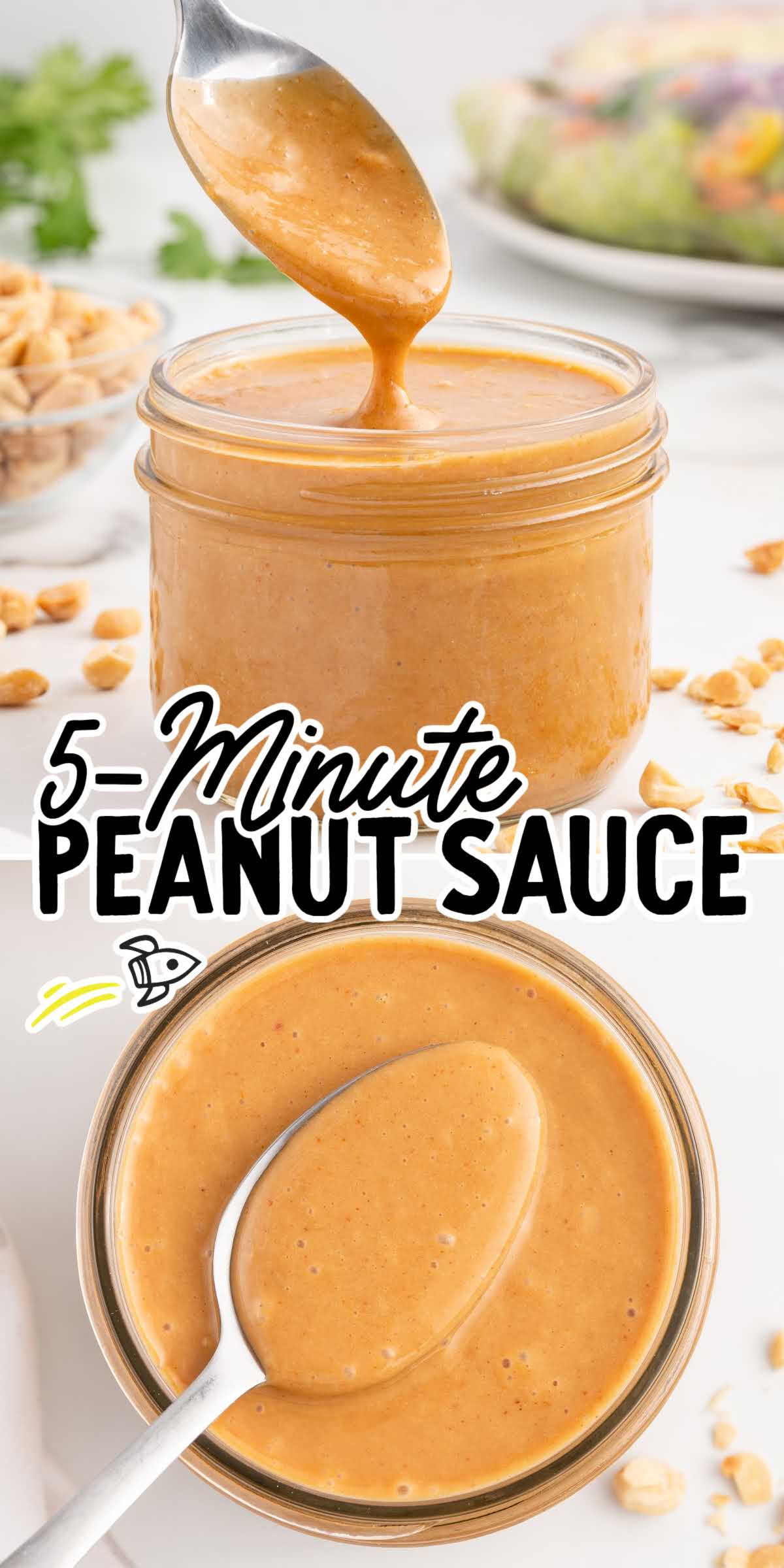 Peanut Sauce Recipe - Spaceships and Laser Beams