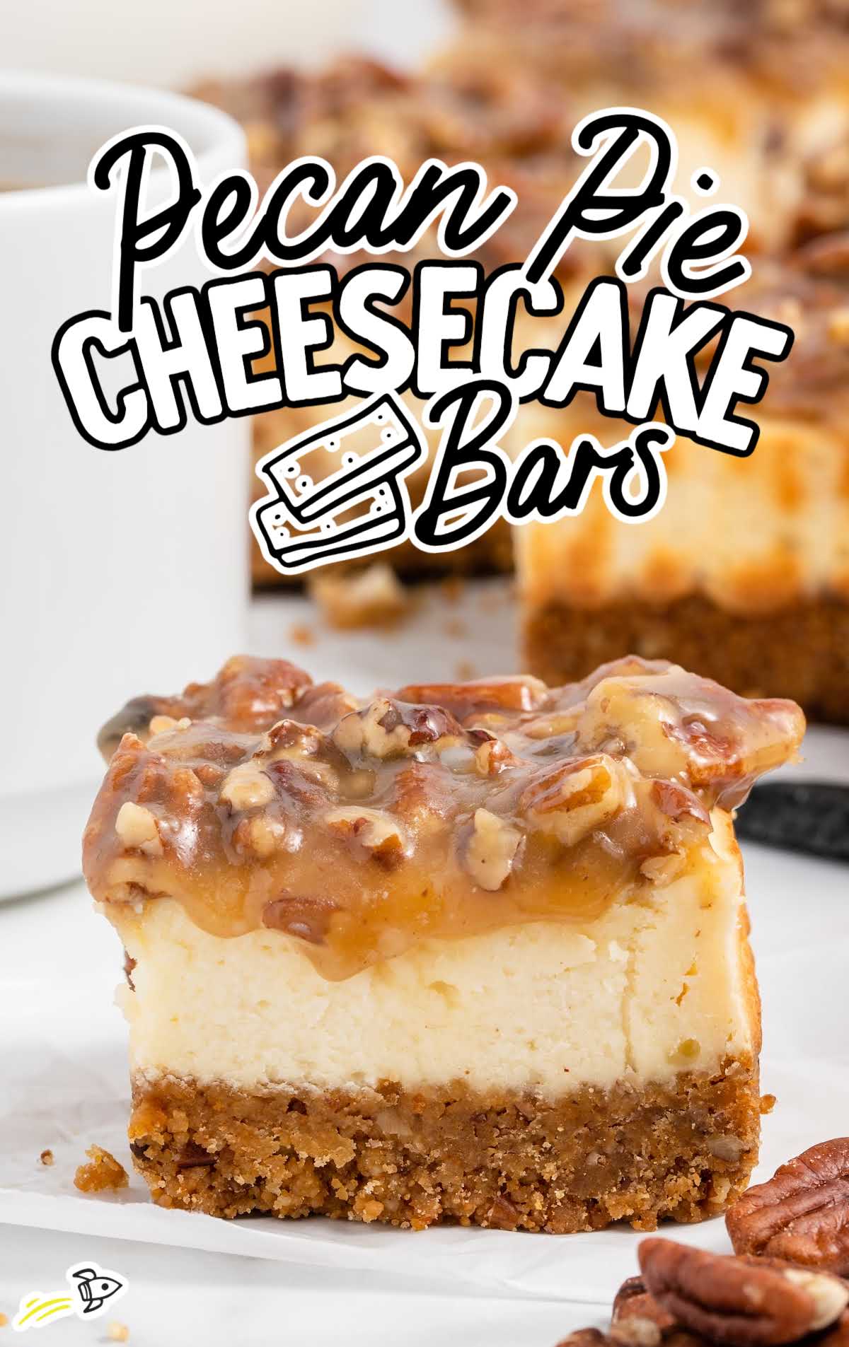 a close up shot of a slice of Pecan Pie Cheesecake Bar