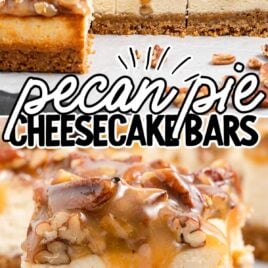 a close up shot of a slice of Pecan Pie Cheesecake Bar