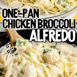 a close up shot of a wooden spoon grabbing a piece of Chicken Broccoli Alfredo