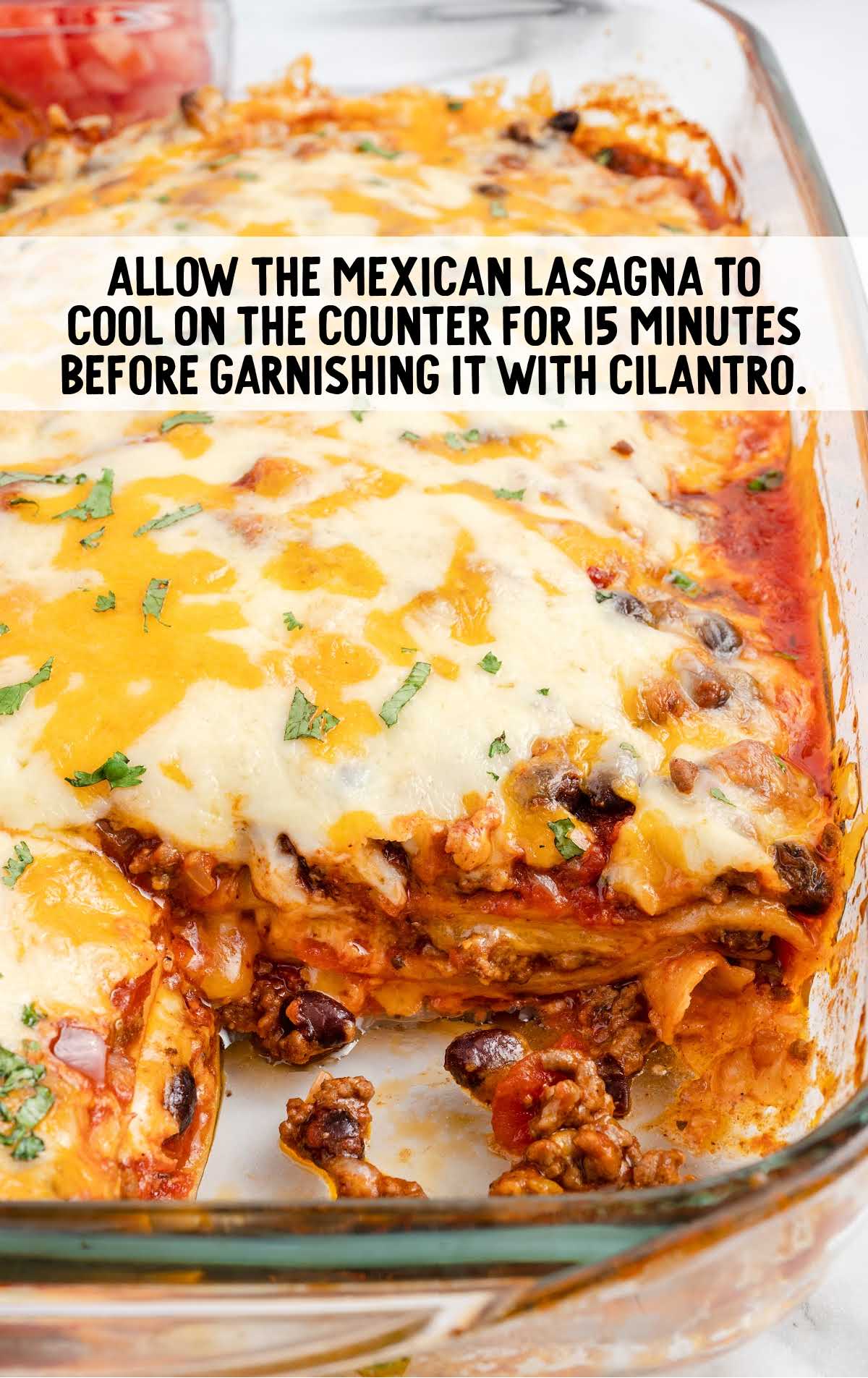 garnish lasagna with cilantro