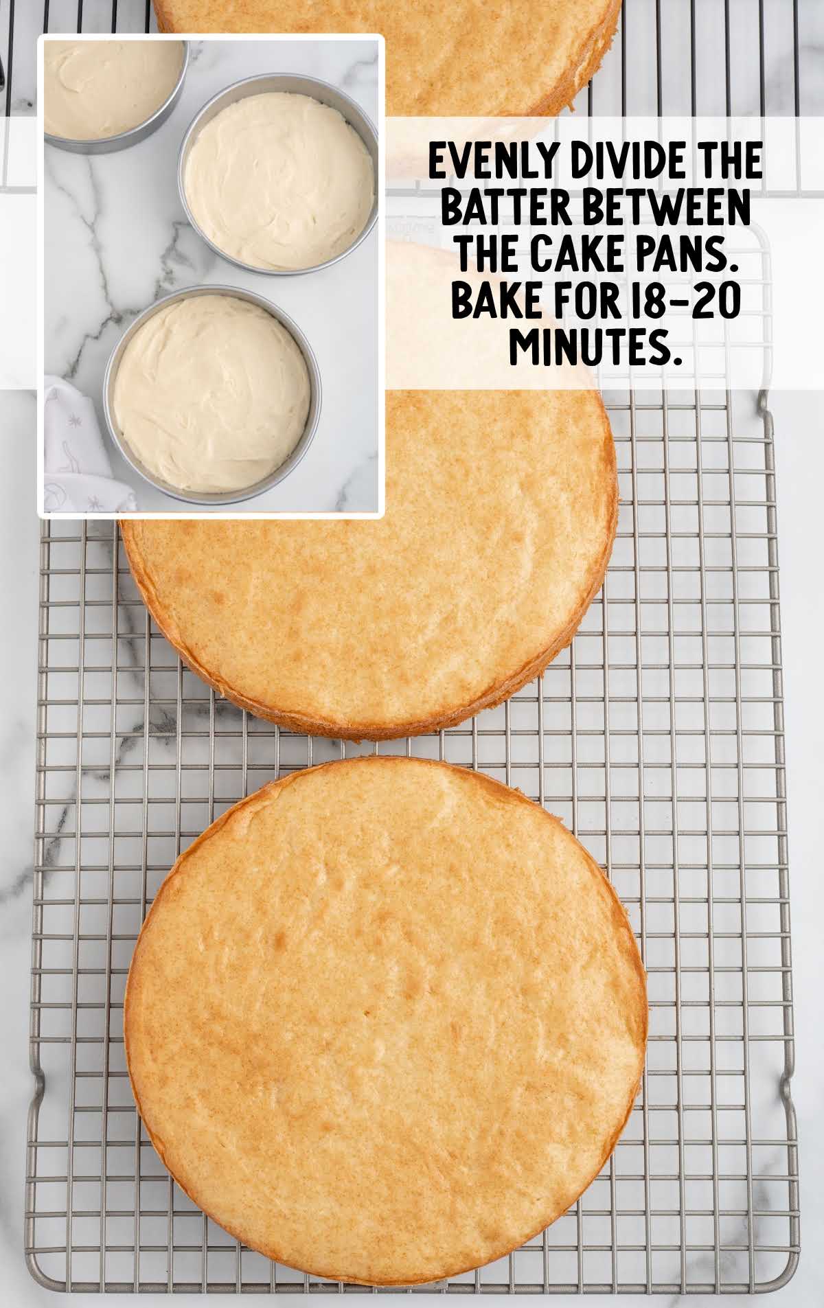 batter divided evenly between cake pans
