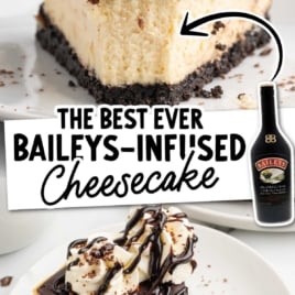 Best ever Baileys-infused cheesecake slice with Oreo crust, silky chocolate topping, and whipped cream garnish.