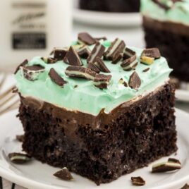 a slice of cake topped with mint chocolate candies on a plate