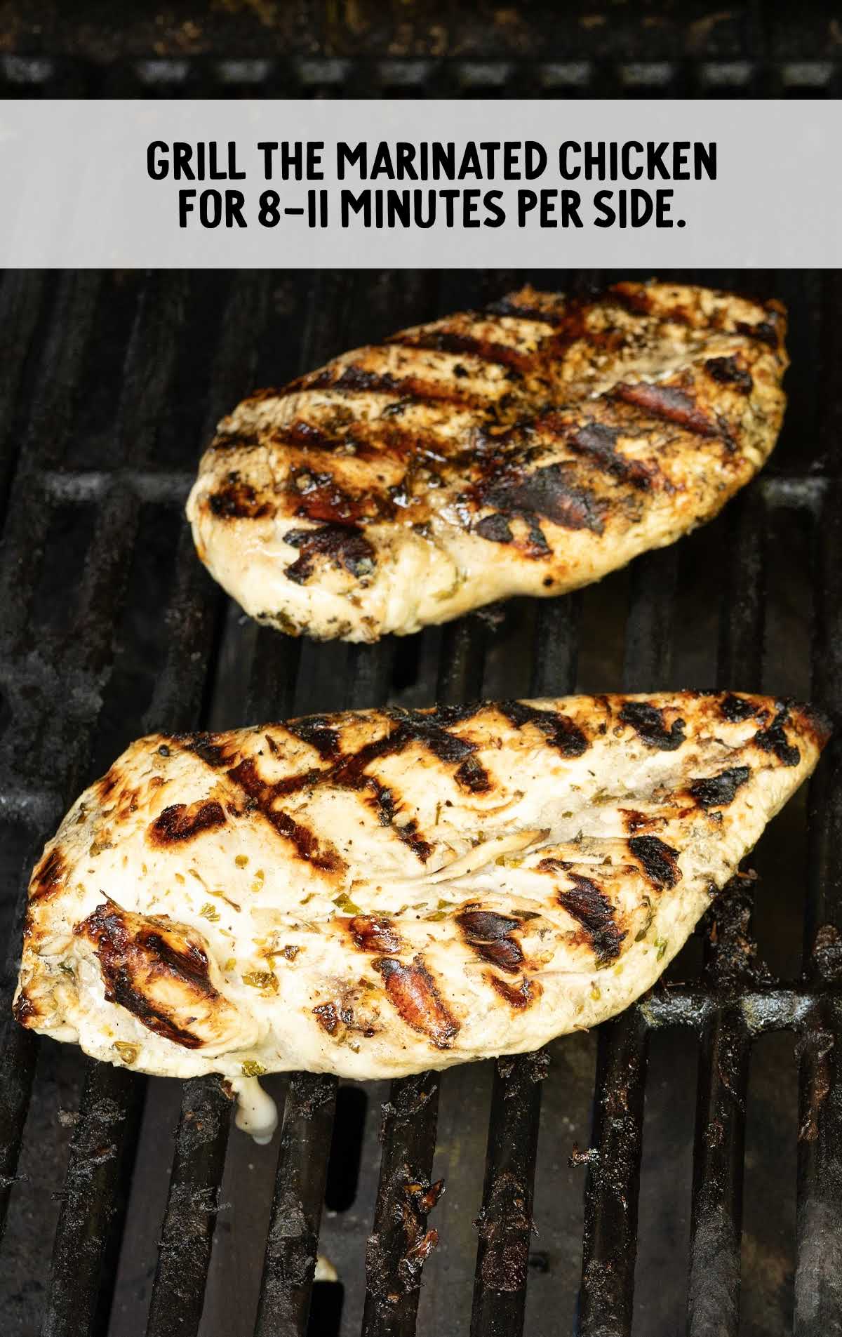chicken grilled on a grill
