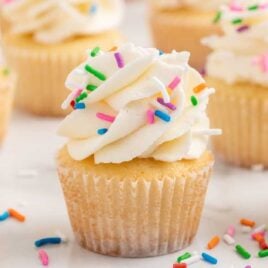 close up shot of Mini Cupcakes topped with sprinkles