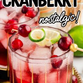 a glass of Vodka Cranberry garnished with cranberries and a lime