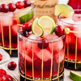 a glass of Vodka Cranberry garnished with cranberries and a lime