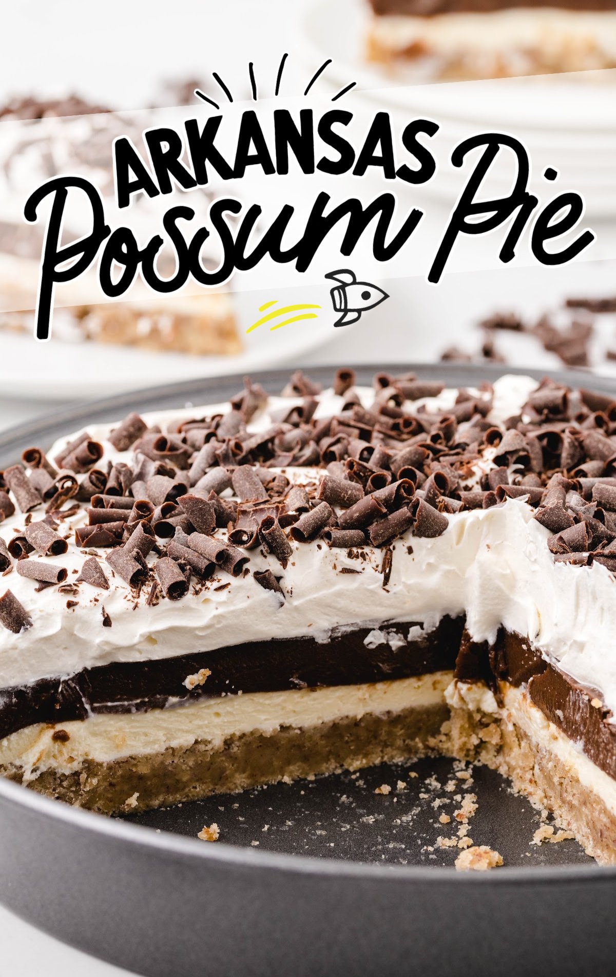 a dish of Arkansas Possum Pie topped with chocolate shavings
