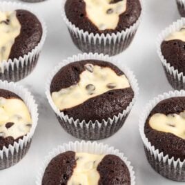 a close up shot of Black Bottom Cupcakes