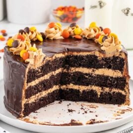 chocolate cake topped with frosting and Reese's pieces on a stand