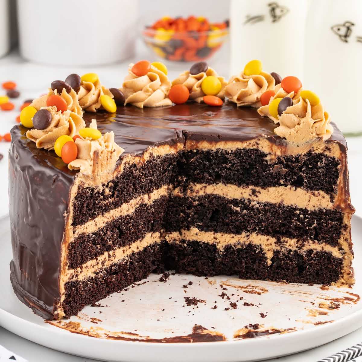 chocolate cake topped with frosting and Reese's pieces on a stand