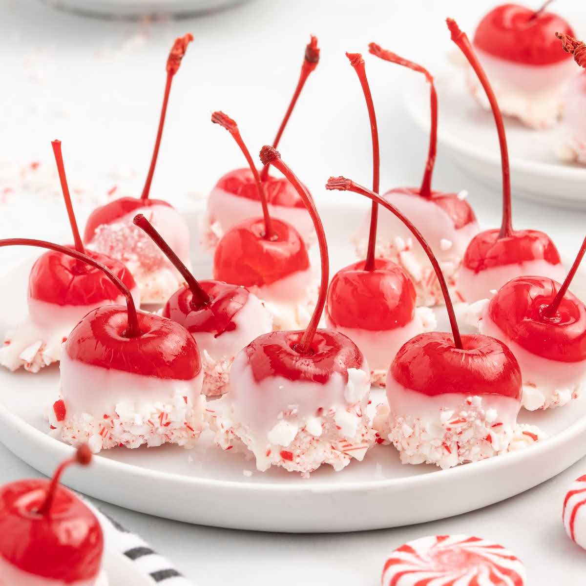 Plated peppermint white chocolate cherry bombs ready to serve for the holidays.