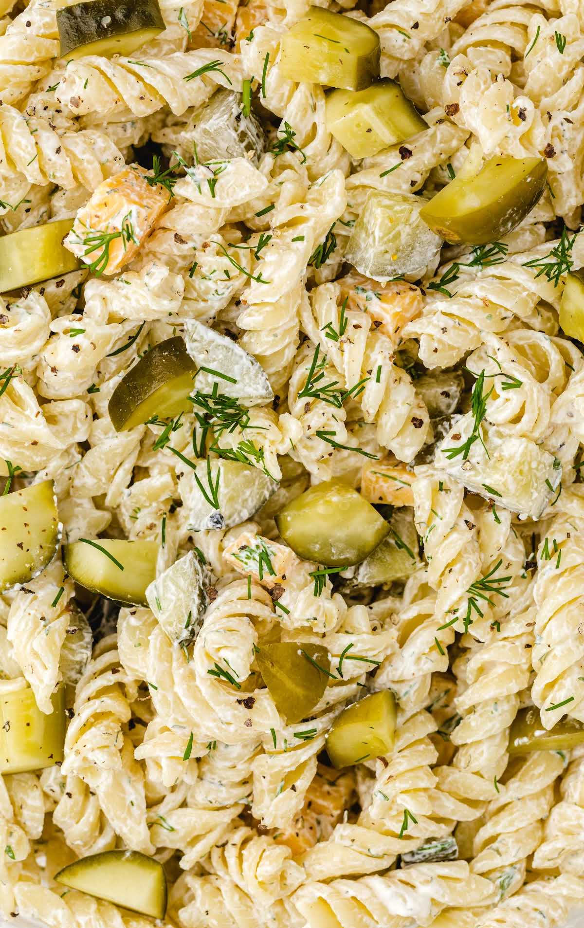 Extreme close-up of creamy dill pickle pasta salad with rotini pasta, fresh dill, cheddar cubes, and pickle chunks.