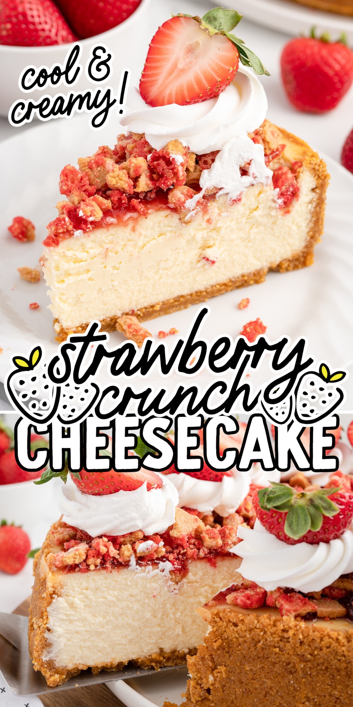 Strawberry Crunch Cheesecake - Spaceships and Laser Beams