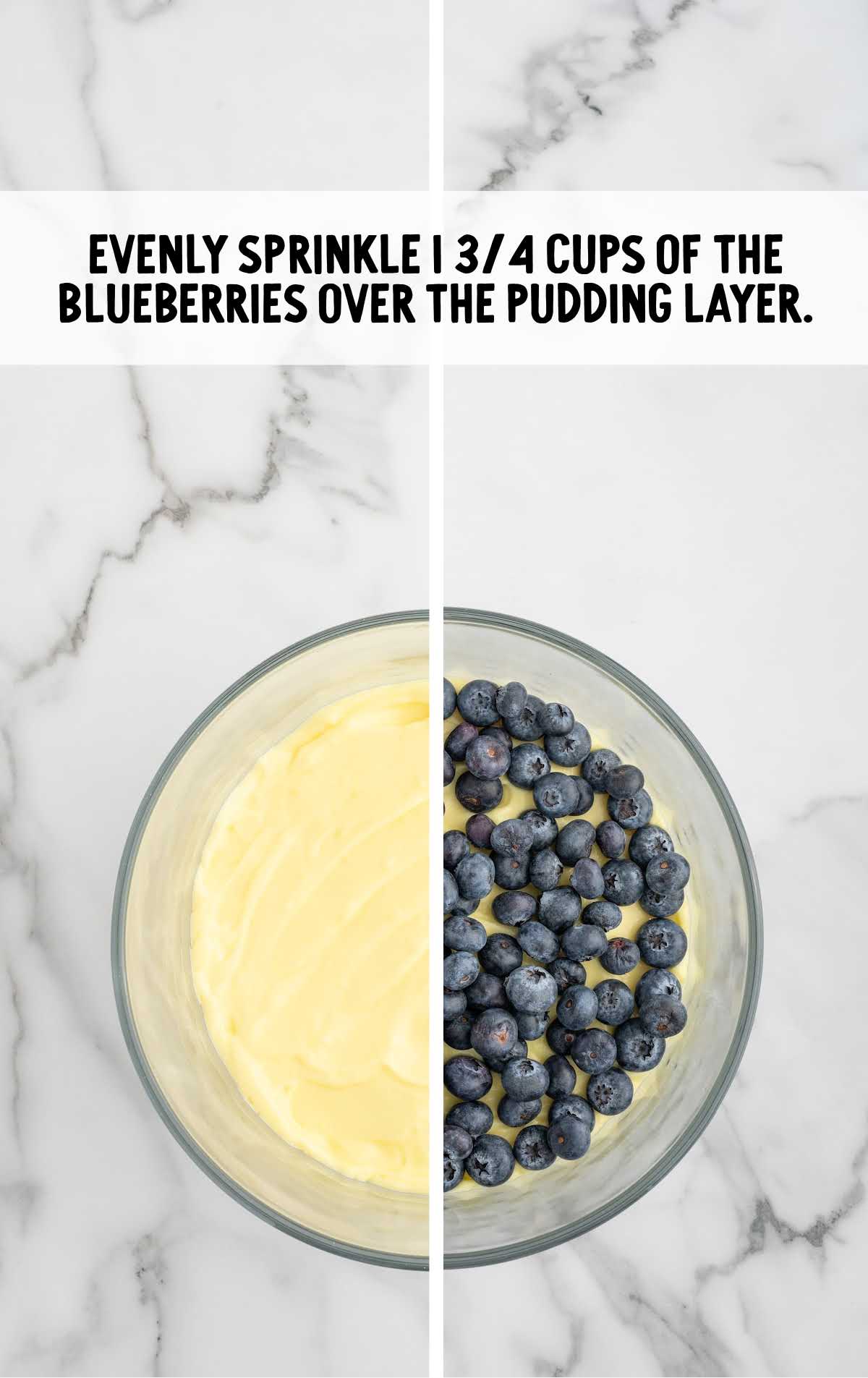 blueberries sprinkled on top of the pudding layer