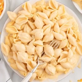 Overhead shot of Shells and Cheese on a plate