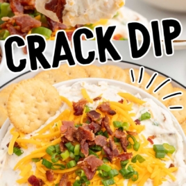 a bowl of Crack Dip topped with shredded cheese, bacon bits, and green onions with a chip dipped into it
